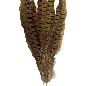 Natural Pheasant Turkey Mixed Feather Pick Spray Stem 24" Floral Craft Decor
